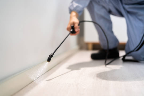 Licensed Fumigation Services service in Snyder, TX - Nex Pest Control