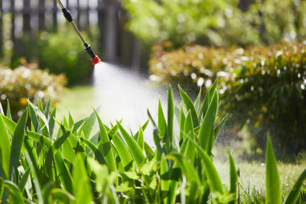24/7 Emergency Fumigation Services experts in Snyder, TX