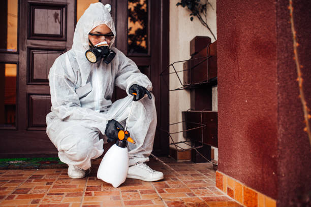 Reliable Fumigation Services contractor in Snyder, TX by Nex Pest Control